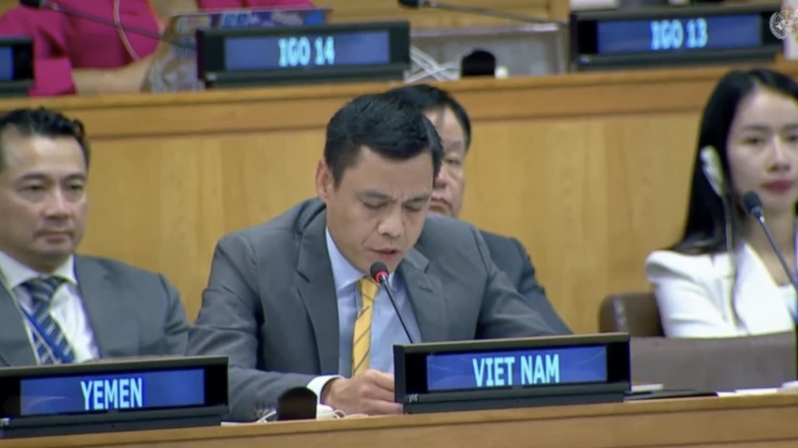 Vietnam commits strict management of weapon: diplomat